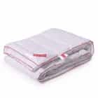 ОДЕЯЛО "FLY DREAM" 172Х205 СМ, ТИК, ЛЕБЯЖИЙ ПУХ , (АРТ. ОЛТФД-17), норма - фото 1 - миниатюра