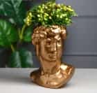 Органайзер-кашпо "Голова Давида", золотистый, 26 см 5666722, норма - фото 1 - миниатюра