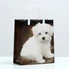 Пакет "Мальтипу белый", мягкий пластик, 26x23 см, 110 мкм 9079507, норма - фото 1 - миниатюра