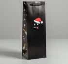 Пакет под бутылку «Похмелье близко», 13×36×10 см   5013010, норма - фото 1 - миниатюра