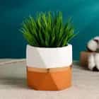 Кашпо "Многогранник" 11х10 см, двухцветное, оранжевое 9342688, норма - фото 1 - миниатюра