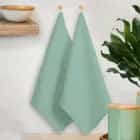 НАБОР ПОЛОТЕНЕЦ  (МЕНТОЛОВЫЙ) С ПЕТЛЕЙ КИПЕРНАЯ ЛЕНТА, 45*60, 2 ШТ, ФЛАЕР.АРТ.01031, норма - фото 1 - миниатюра