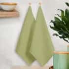 НАБОР ПОЛОТЕНЕЦ (ФИСТАШКОВЫЙ), С ПЕТЛЕЙ КИПЕРНАЯ ЛЕНТА, 2 ШТ. 45*60, ФЛАЕР.АРТ.01048, норма - фото 1 - миниатюра