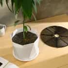 Защитная решетка для комнатных растений 19,5 см, пластик, 10530708, норма - фото 1 - миниатюра