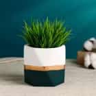 Кашпо "Многогранник" 11х10 см, двухцветное, зеленое 9342685, норма - фото 1 - миниатюра