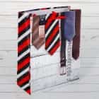 Пакет ламинированный вертикальный «С Праздником», ML 23×27×8 см 2584275, норма - фото 1 - миниатюра