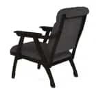 ВЕГА-10 (Ультра графит (Ultra grafit)  / Венге (Лак)) - фото 4 - миниатюра