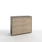 ПАЙН-4.1 (корпус венге темный/фасад дуб сонома) - фото 1 - миниатюра