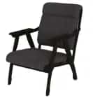 ВЕГА-10 (Ультра графит (Ultra grafit)  / Венге (Лак)) - фото 1 - миниатюра