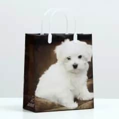 Подарочные пакеты Пакет Мальтипу белый, мягкий пластик, 26x23 см, 110 мкм 9079507 - изображение 1