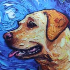 Подушки, наволочки декоративные ПОДУШКА ДЕКОРАТИВНАЯ СОБАКИ ВАН ГОГ, ЛАБРАДОР ТКАНЬ: ВЕЛЮРПОПЛИН, РАЗМЕР 40*40, МОЛНИЯ, ВНУТРЕННИЙ ЧЕХОЛ СОСТАВ: 1 СТОРОНА ПОЛИЭСТЕР 80%, ХЛОПОК 20%, 2 СТОРОНА ХЛОПОК 100%, АРТ. 0224 - изображение 3