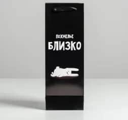Подарочные пакеты Пакет под бутылку «Похмелье близко», 13×36×10 см 5013010 - изображение 2