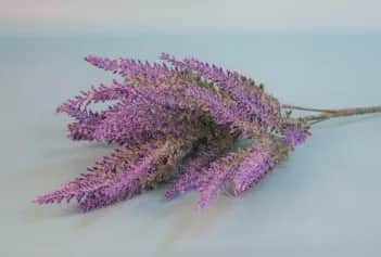 Цветы искусственные Цветок иск. Лаванда (сиреневый) 37см - изображение 1