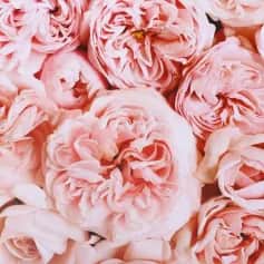 Подарочная упаковка Бумага упаковочная глянцевая двухстороняя Пионы 50х70 см - изображение 4