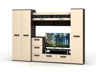 Мебель для гостиной МЕЧТА - изображение 1