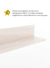 Полка ПОЛКА 800 (800*250*200 ММ) - изображение 2