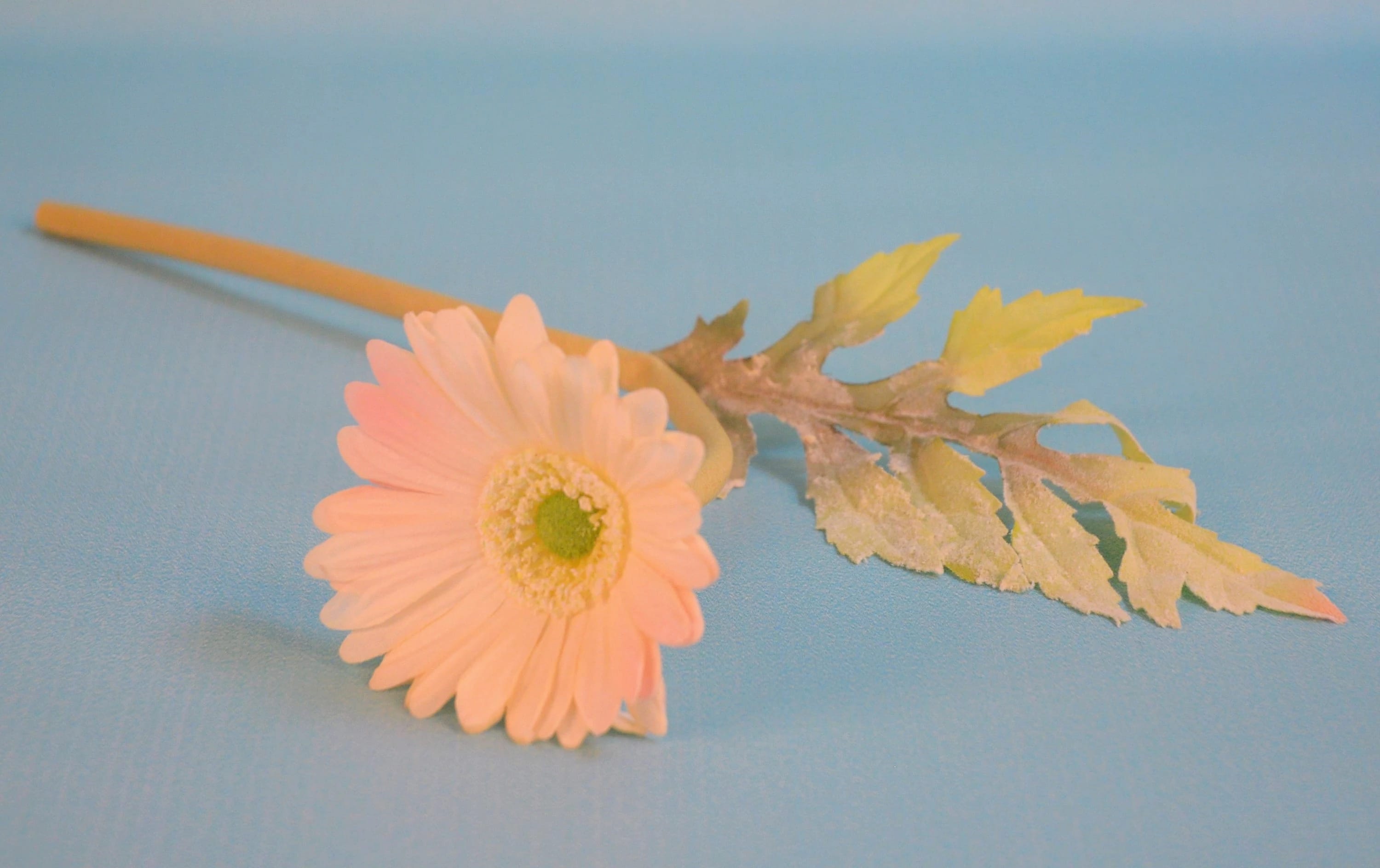 ЦВЕТОК ИСК. ГЕРБЕРА МИНИ (ШАМПАНЬ) 32СМ, норма - фото 1