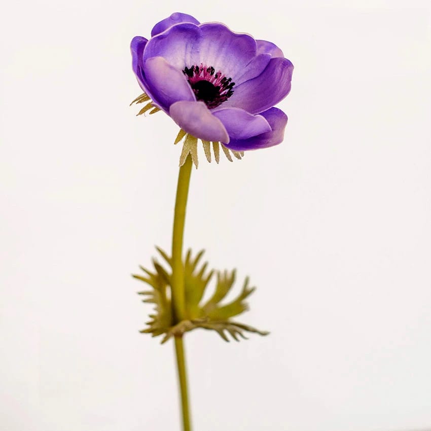 Цветок иск. Анемон (сиреневый) 43см, норма - фото 1