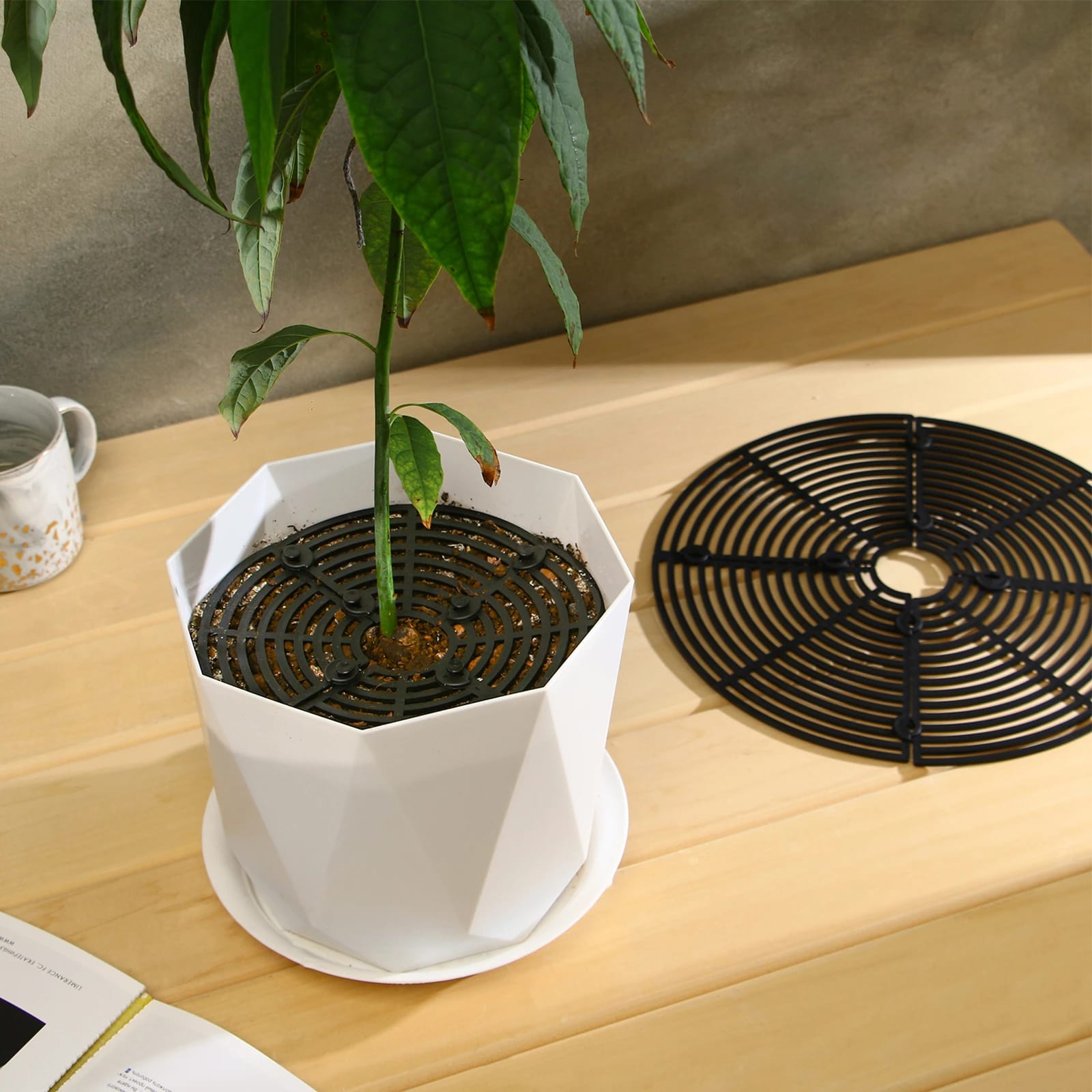 Защитная решетка для комнатных растений 19,5 см, пластик, 10530708, норма - фото 1