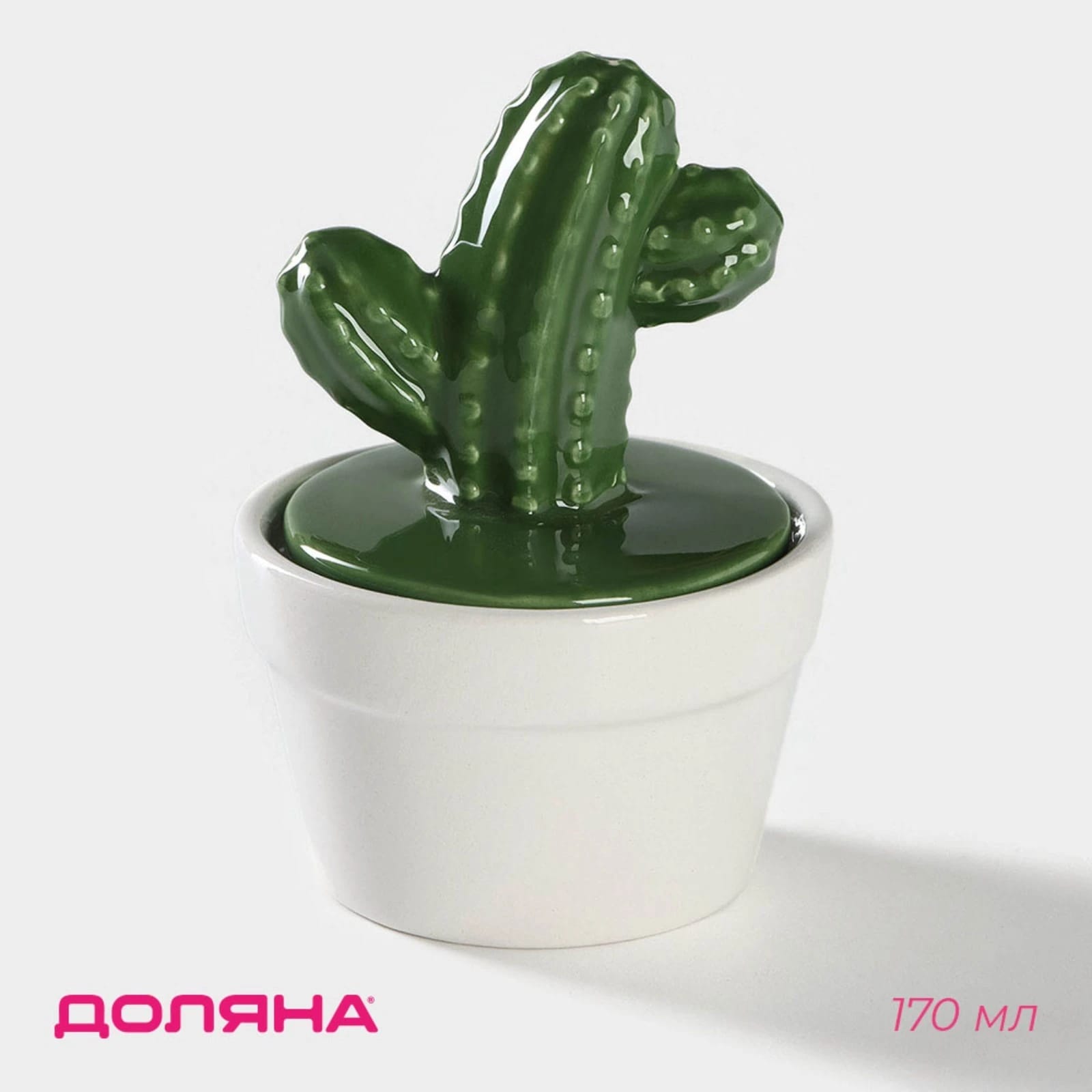 Ёмкость для хранения "Кактус" 8x8x12 см 5487588, норма - фото 1