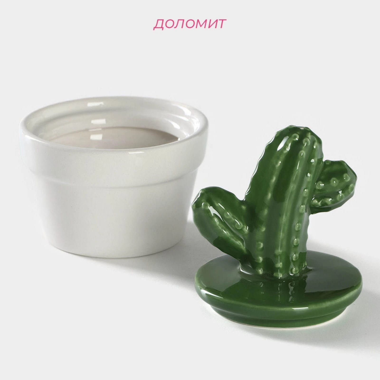 Ёмкость для хранения "Кактус" 8x8x12 см 5487588, норма - фото 2